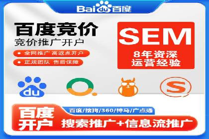 成功企业SEM竞价代运营案例研究